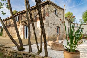 Jean-Noël BRIFFAUD - JNB HOTO