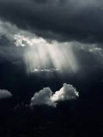 Mei CHOLET - MSC
